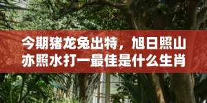 今期猪龙兔出特，旭日照山亦照水打一最佳是什么生肖,释义成语解释落实