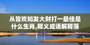 从皆欢知发大财打一最佳是什么生肖,释义成语解释落实