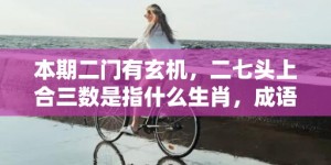 本期二门有玄机，二七头上合三数是指什么生肖，成语释义解释落实