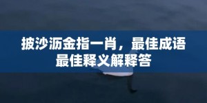 披沙沥金指一肖，最佳成语最佳释义解释答