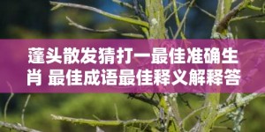 蓬头散发猜打一最佳准确生肖 最佳成语最佳释义解释答