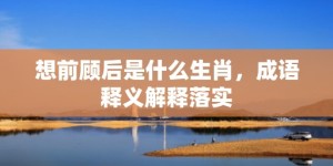 想前顾后是什么生肖，成语释义解释落实