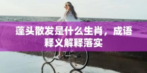 蓬头散发是什么生肖，成语释义解释落实