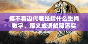 摸不着边代表是指什么生肖数字、释义成语解释落实