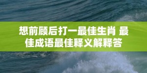 想前顾后打一最佳生肖 最佳成语最佳释义解释答