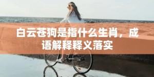 白云苍狗是指什么生肖，成语解释释义落实