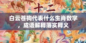 白云苍狗代表什么生肖数字，成语解释落实释义