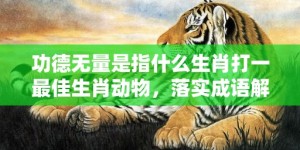 功德无量是指什么生肖打一最佳生肖动物，落实成语解释释义