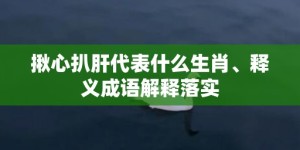 揪心扒肝代表什么生肖、释义成语解释落实