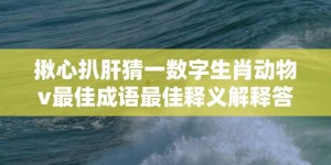 揪心扒肝猜一数字生肖动物v最佳成语最佳释义解释答