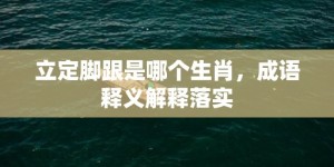 立定脚跟是哪个生肖，成语释义解释落实