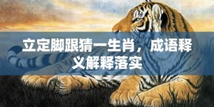 立定脚跟猜一生肖，成语释义解释落实