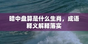 暗中盘算是什么生肖，成语释义解释落实