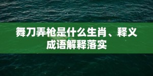 舞刀弄枪是什么生肖、释义成语解释落实