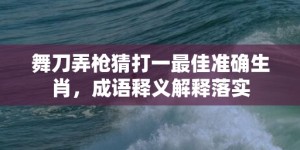 舞刀弄枪猜打一最佳准确生肖，成语释义解释落实