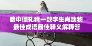 暗中倾轧猜一数字生肖动物 最佳成语最佳释义解释答