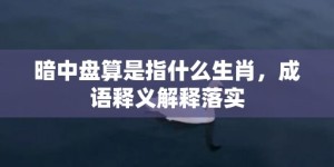 暗中盘算是指什么生肖，成语释义解释落实