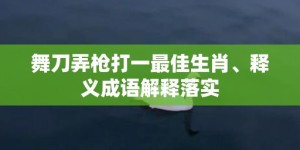 舞刀弄枪打一最佳生肖、释义成语解释落实