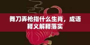 舞刀弄枪指什么生肖，成语释义解释落实