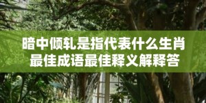 暗中倾轧是指代表什么生肖 最佳成语最佳释义解释答