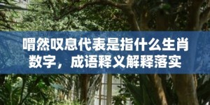 喟然叹息代表是指什么生肖数字，成语释义解释落实