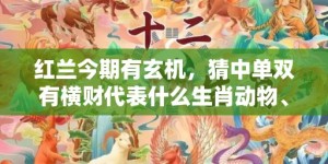 红兰今期有玄机，猜中单双有横财代表什么生肖动物、最佳释义解释答