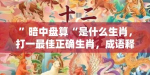 ”暗中盘算“是什么生肖，打一最佳正确生肖，成语释义解释落实