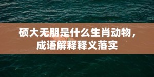 硕大无朋是什么生肖动物，成语解释释义落实