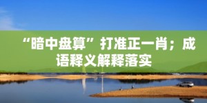 “暗中盘算”打准正一肖；成语释义解释落实