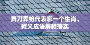 舞刀弄枪代表哪一个生肖、释义成语解释落实