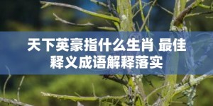 天下英豪指什么生肖 最佳释义成语解释落实