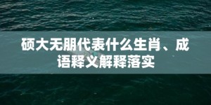 硕大无朋代表什么生肖、成语释义解释落实