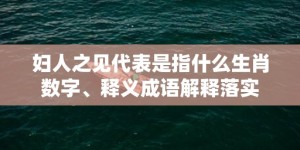 妇人之见代表是指什么生肖数字、释义成语解释落实