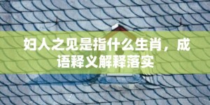 妇人之见是指什么生肖，成语释义解释落实