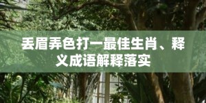 丢眉弄色打一最佳生肖、释义成语解释落实