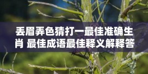 丢眉弄色猜打一最佳准确生肖 最佳成语最佳释义解释答