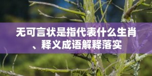 无可言状是指代表什么生肖、释义成语解释落实