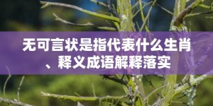 无可言状是指代表什么生肖、释义成语解释落实