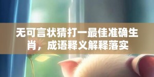 无可言状猜打一最佳准确生肖，成语释义解释落实