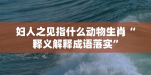 妇人之见指什么动物生肖“释义解释成语落实”