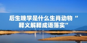 后生晚学是什么生肖动物“释义解释成语落实”