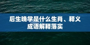 后生晚学是什么生肖、释义成语解释落实