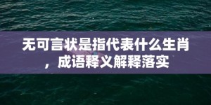 无可言状是指代表什么生肖，成语释义解释落实