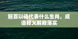 翘首以待代表什么生肖，成语释义解释落实