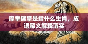 摩拳擦掌是指什么生肖，成语释义解释落实