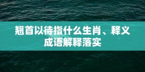 翘首以待指什么生肖、释义成语解释落实