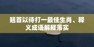 翘首以待打一最佳生肖、释义成语解释落实