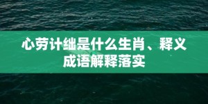 心劳计绌是什么生肖、释义成语解释落实