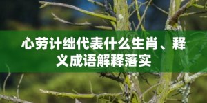 心劳计绌代表什么生肖、释义成语解释落实