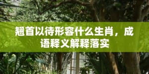 翘首以待形容什么生肖，成语释义解释落实